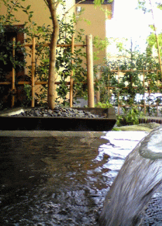 f0063944_116359.gif