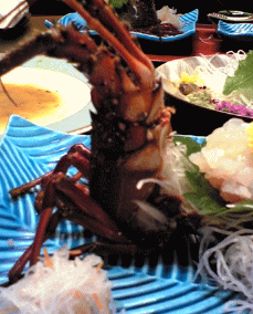 f0063944_1182968.gif
