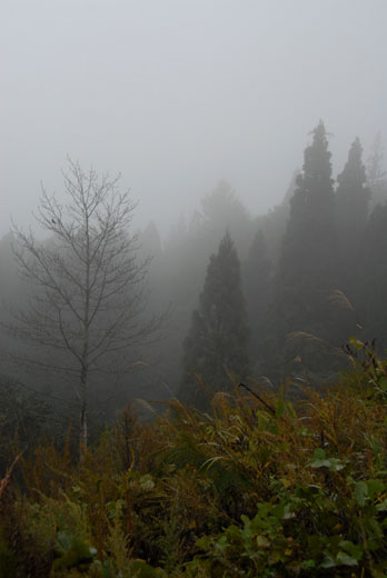 霧の白川村_c0093046_1858789.jpg