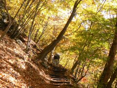 横谷峡の紅葉_f0019247_22164557.jpg