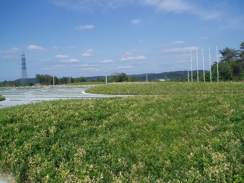 c0107149_1505948.jpg