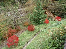 d0048350_20323269.jpg
