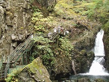 d0048350_20324725.jpg