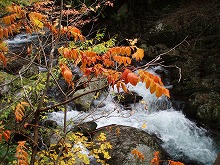 d0048350_20341711.jpg