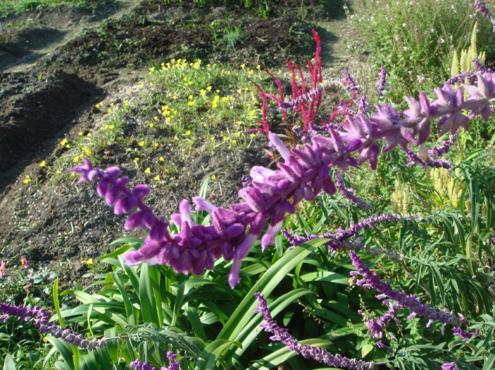 c0108460_16264658.jpg