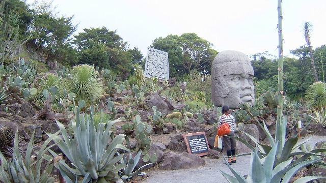 伊豆下田温泉旅行　シャボテン公園　⑪_d0029066_22531486.jpg