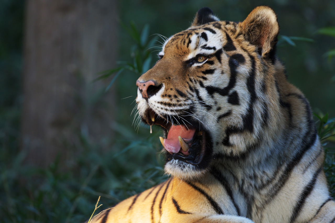 多摩動物公園176_e0060169_635216.jpg