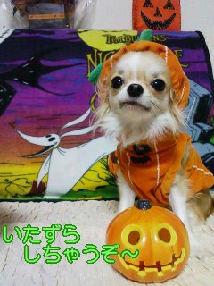 trick or treat ～その1～_a0043579_35211.jpg