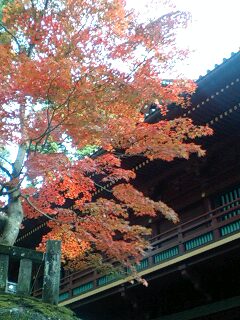 c0096582_262880.jpg