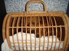2007年10月27日 パソコン壊れる!! _b0098584_0322460.jpg
