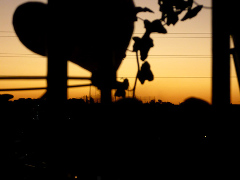 c0124998_29557.jpg