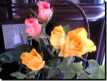 アンの薔薇_a0075802_21452323.jpg