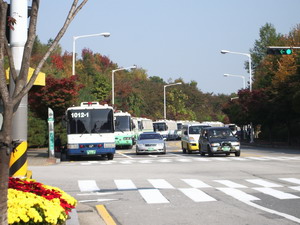 f0124303_23103364.jpg