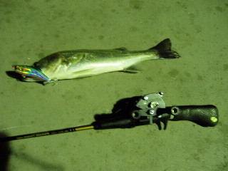 c0023804_8422012.jpg