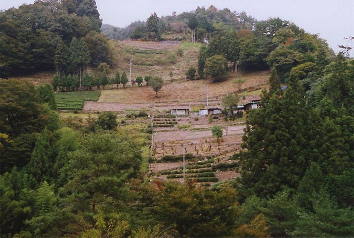 c0067206_9295491.jpg