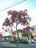 e0111107_1681447.jpg