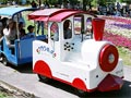 c0143209_17441970.jpg