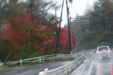 大雨の中　白樺湖方面へ_c0060927_22471648.jpg