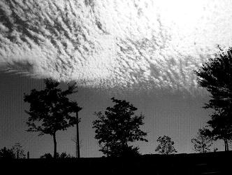 d0118729_8393229.jpg