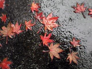 e0037129_13464916.jpg