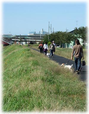 イベントの模様_c0099133_22324845.jpg