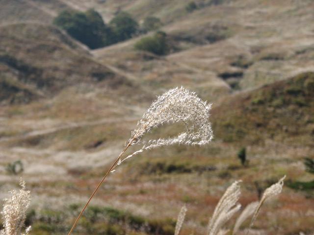 f0099535_9781.jpg