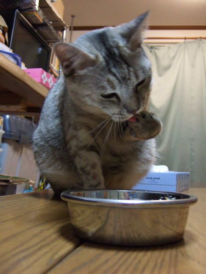 たまには・・・・_b0060239_22565572.jpg