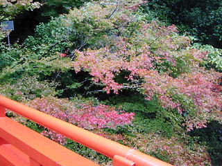 2007.11　　+　　高山寺　 京都・栂ノ尾　 ～　正倉院展　 奈良 _e0022839_2326126.jpg