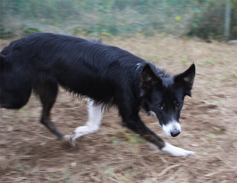 Tiny tim ABC289227_f0156845_13371739.jpg