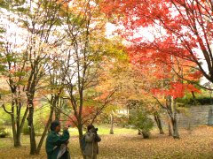 白林荘の紅葉に息を呑む・・・旧甲州街道ウォーク_f0019247_23532041.jpg