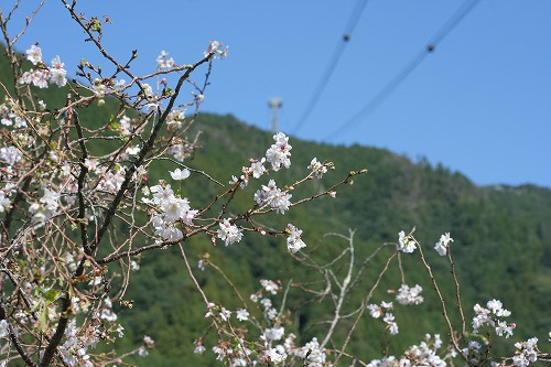 f0042548_8104615.jpg
