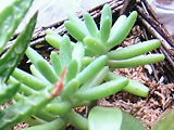 f0150250_0112835.jpg