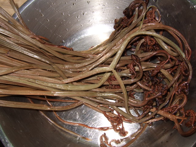 e0104154_7474955.jpg