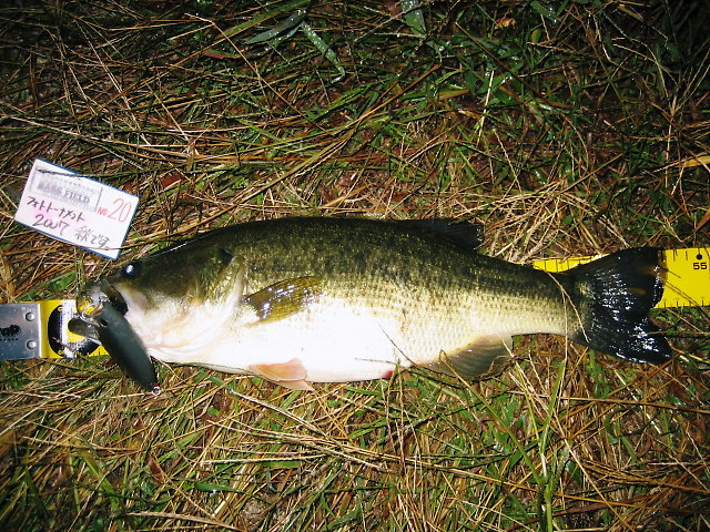 c0127358_23282993.jpg