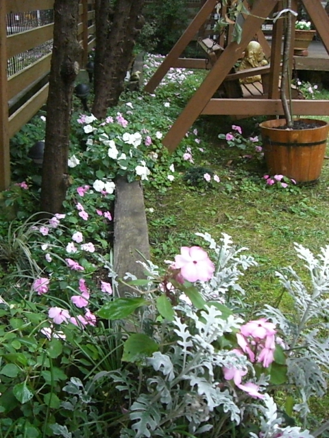 d0111558_19532378.jpg