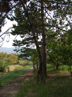 失われし景勝地「牛の首観音堂」を考察_b0095061_8489.jpg