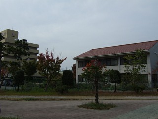 b0095061_85237.jpg