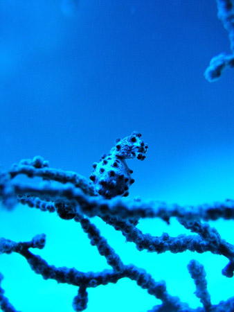 b0062363_2111064.jpg