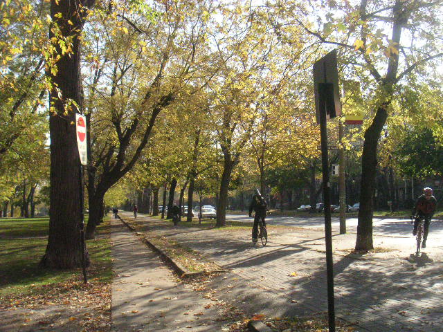 e0087566_12382921.jpg