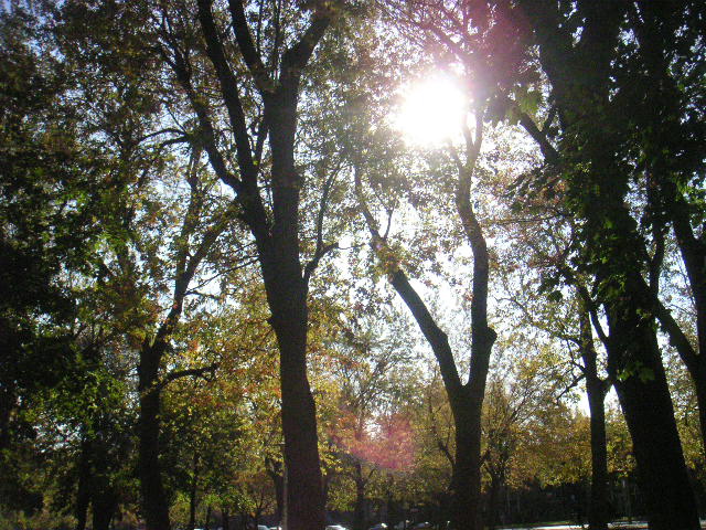 e0087566_12395493.jpg