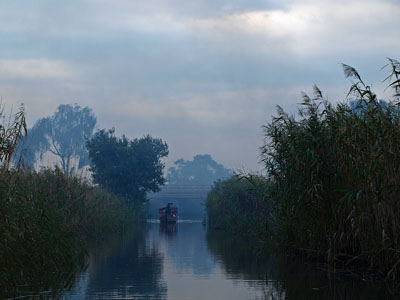 d0013068_20153396.jpg