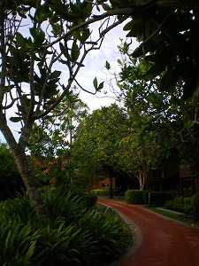 b0056570_1422329.jpg