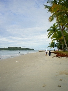 b0056570_158555.jpg