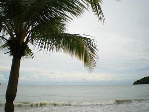b0056570_203038.jpg