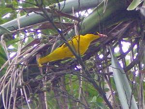 b0056570_215022.jpg