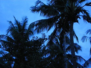 b0056570_265654.jpg