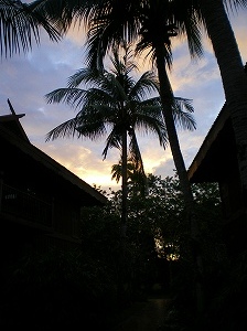 b0056570_283778.jpg