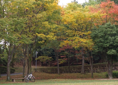 f0047870_8293549.jpg