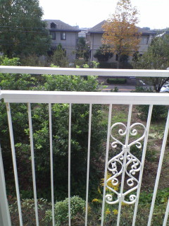 e0090273_9472471.jpg