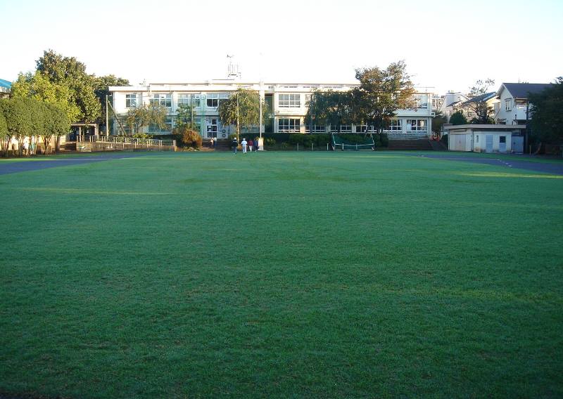 f0059673_07588.jpg